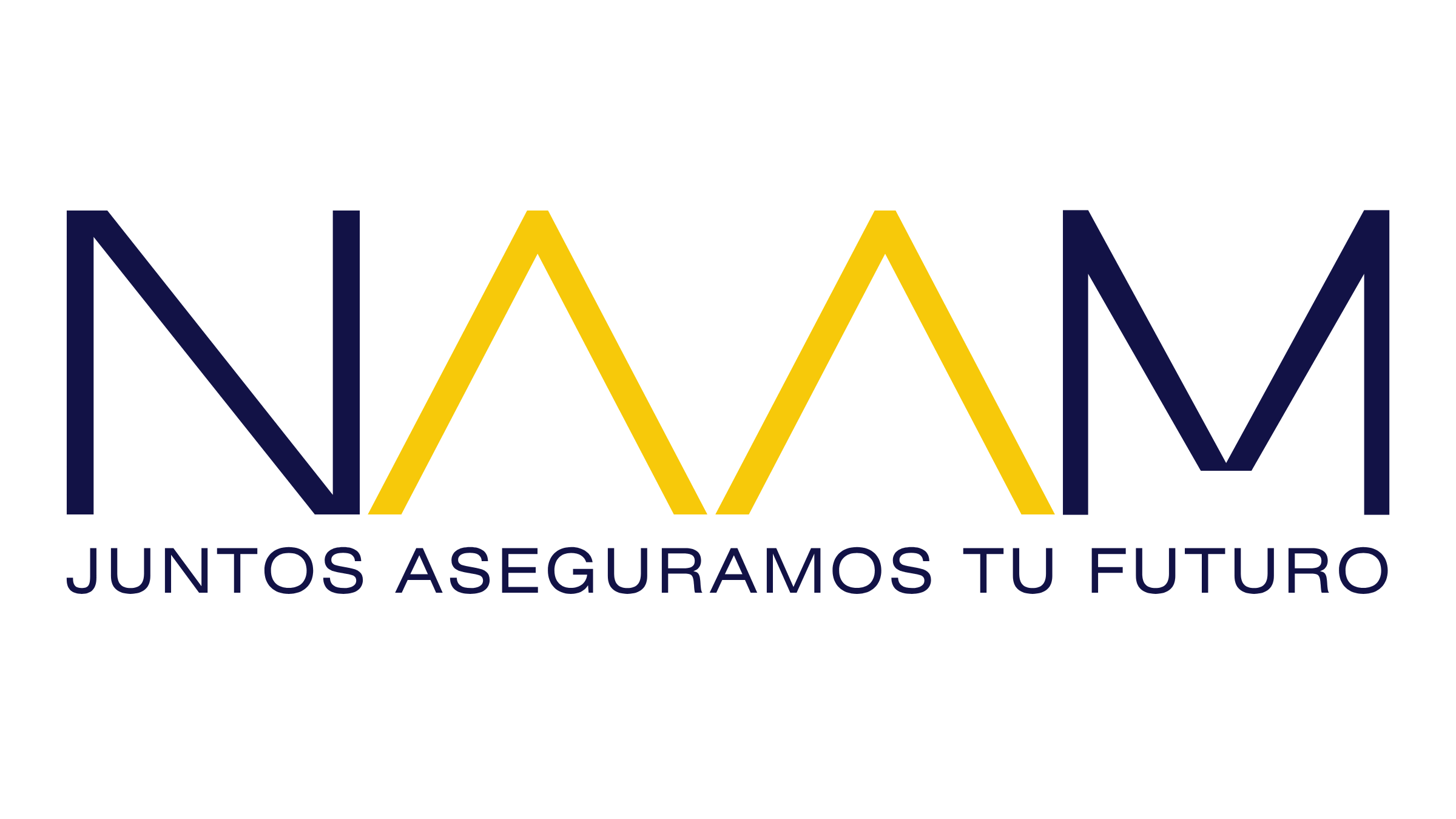 naamseguros.com.mx